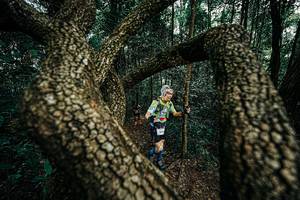 BIB: 
                            <button type="button" onclick="openModal(25394084)" class="btn btn-primary btn-sm float-right btn-popup" data-toggle="modal" data-target=".modal-high-quality">
                        <i class="fas fa-shopping-cart"></i> Add to Cart
                    </button>
                                            <button type="button" onclick="isThisMe(25394084, true)" class="btn btn-success btn-sm float-right btn-popup btn-isme hidden" data-toggle="tooltip" data-placement="bottom" title="นี่คือรูปของคุณใช่ไหม คลิกที่นี่เพื่อเอาเข้าอัลบั้ม">
                        <i class="fas fa-plus"></i> Add to album
                    </button>
                    <button type="button" onclick="isThisMe(25394084, false)" class="btn btn-warning btn-sm float-right btn-popup btn-isnotme hidden">
                        <i class="fas fa-ban"></i> Remove from album
                    </button>